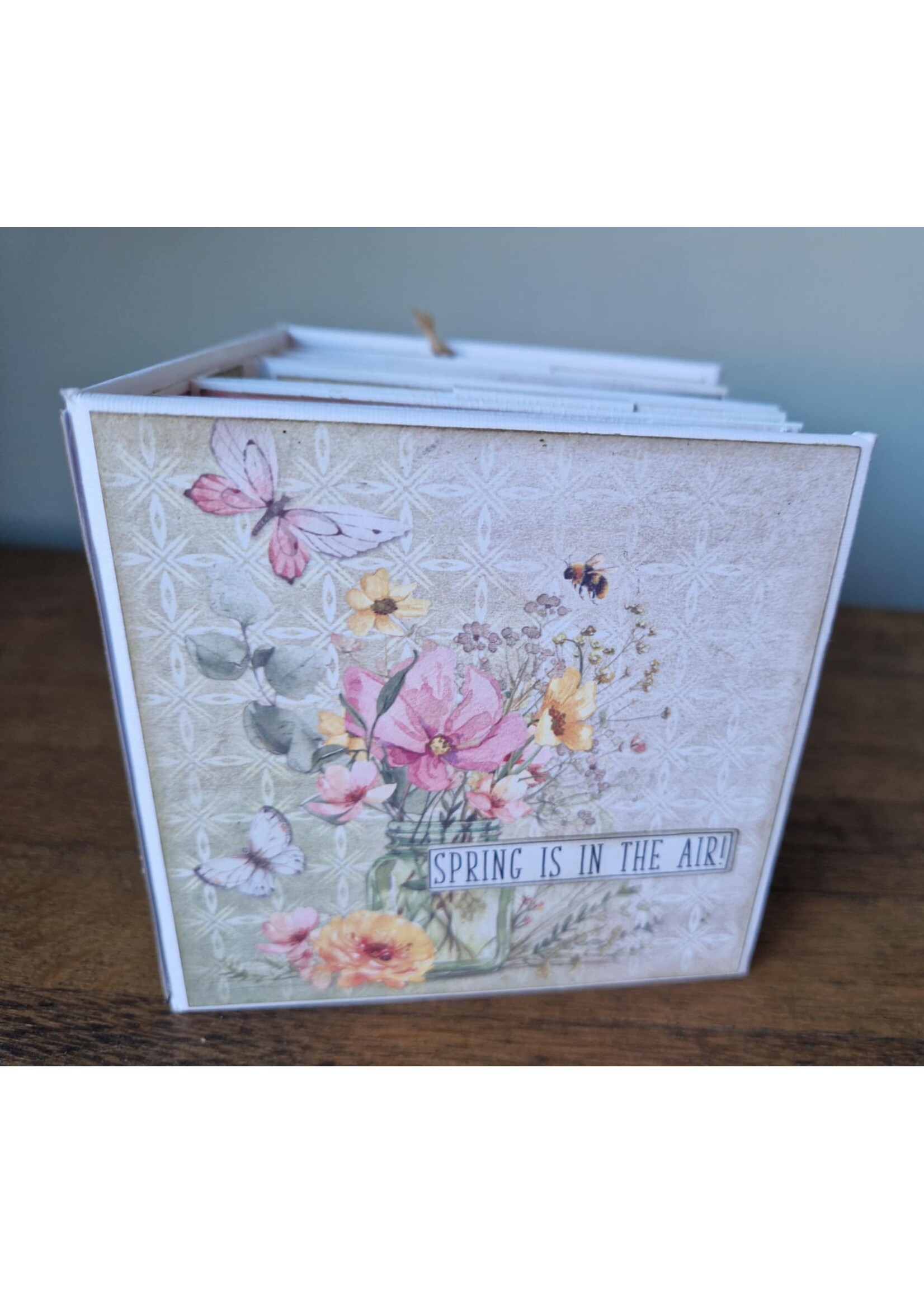Scrap Mini-album@Home workshop van Carla De Graaff 8 maart