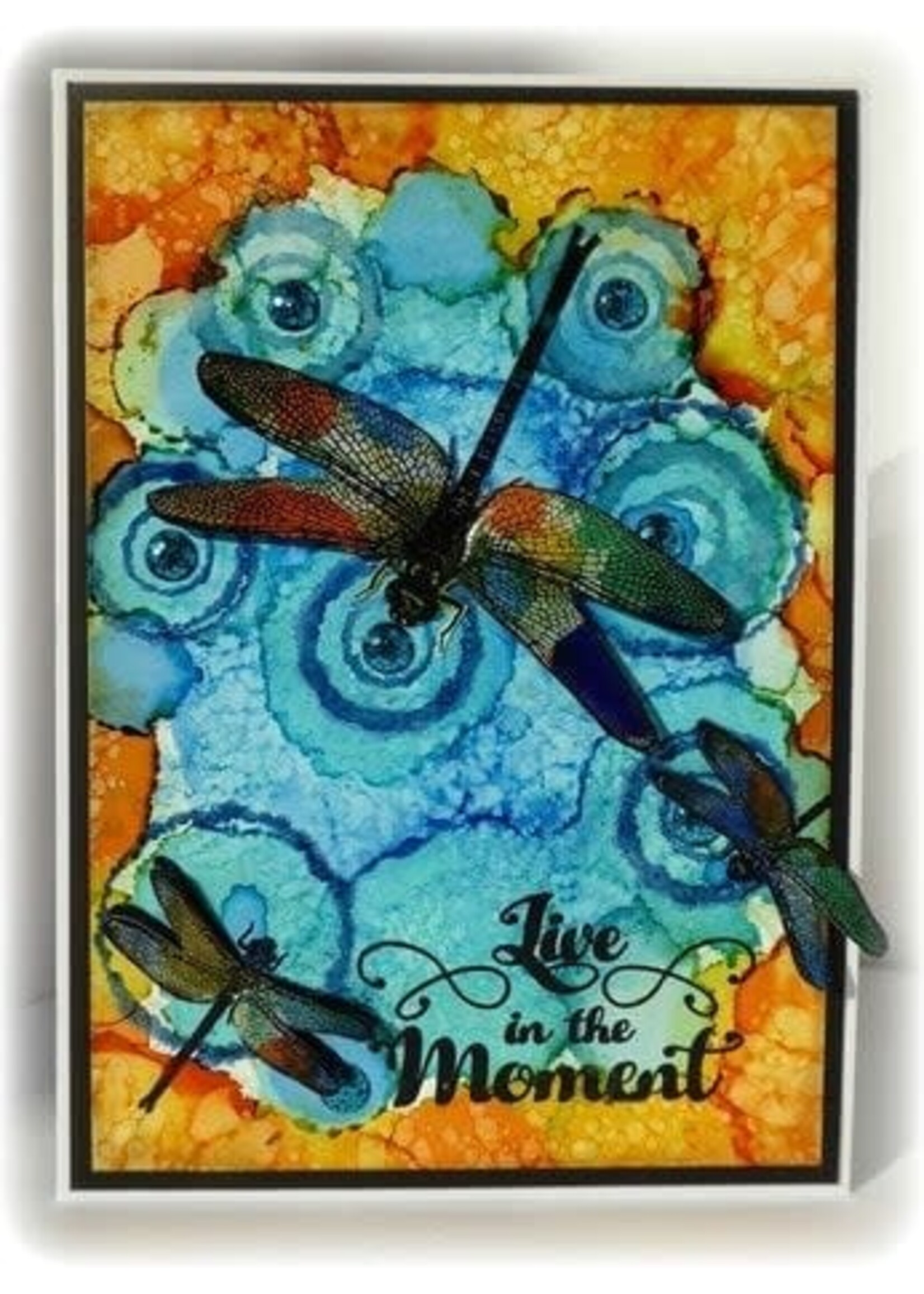 Live In The Moment A6 Stamp Set (VIS-LIM-01)