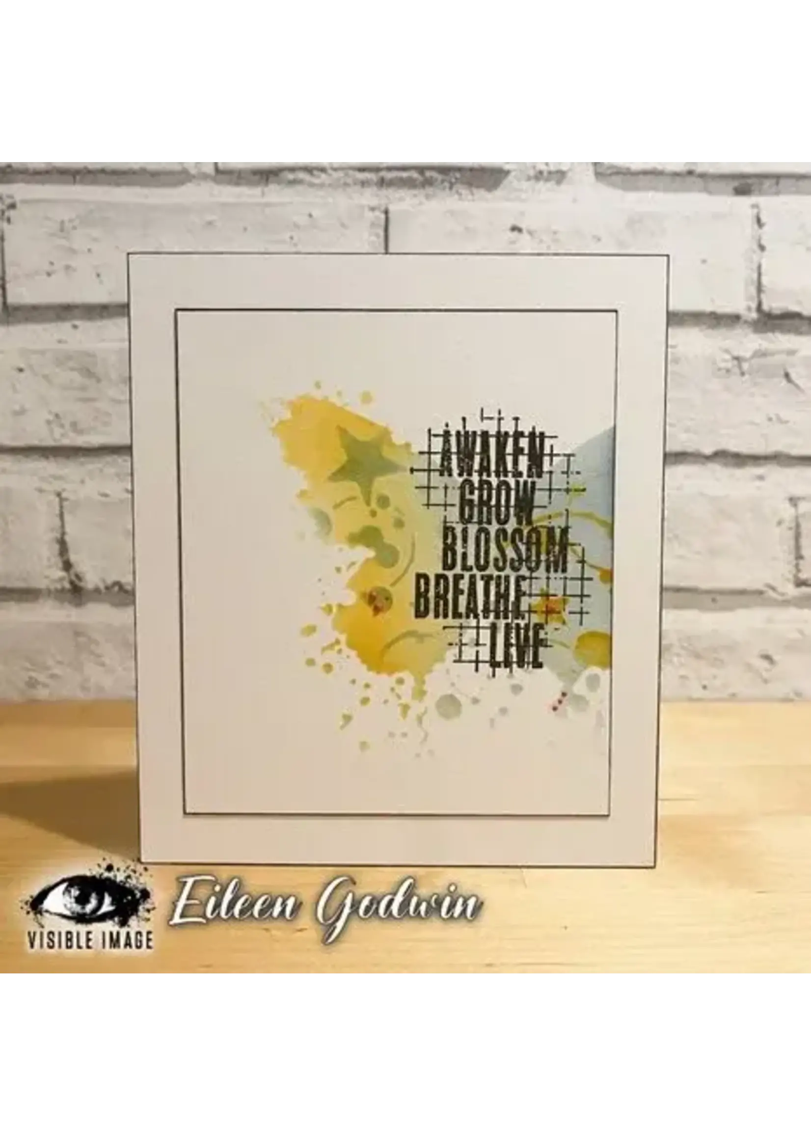 Seeing Stars 6x6 Inch Stencil (VIS-SES-03)