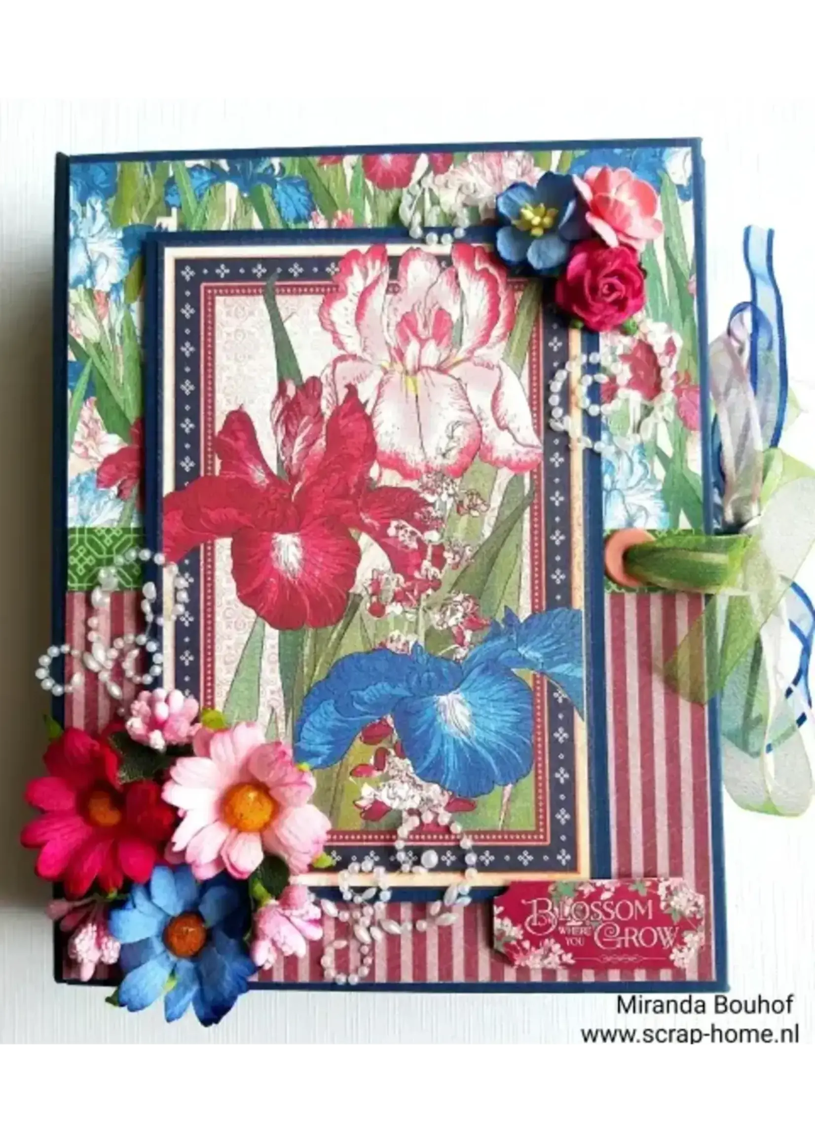 Blossom Album