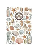 Shells A4 Rice Paper (1pcs) (DFSA4998)