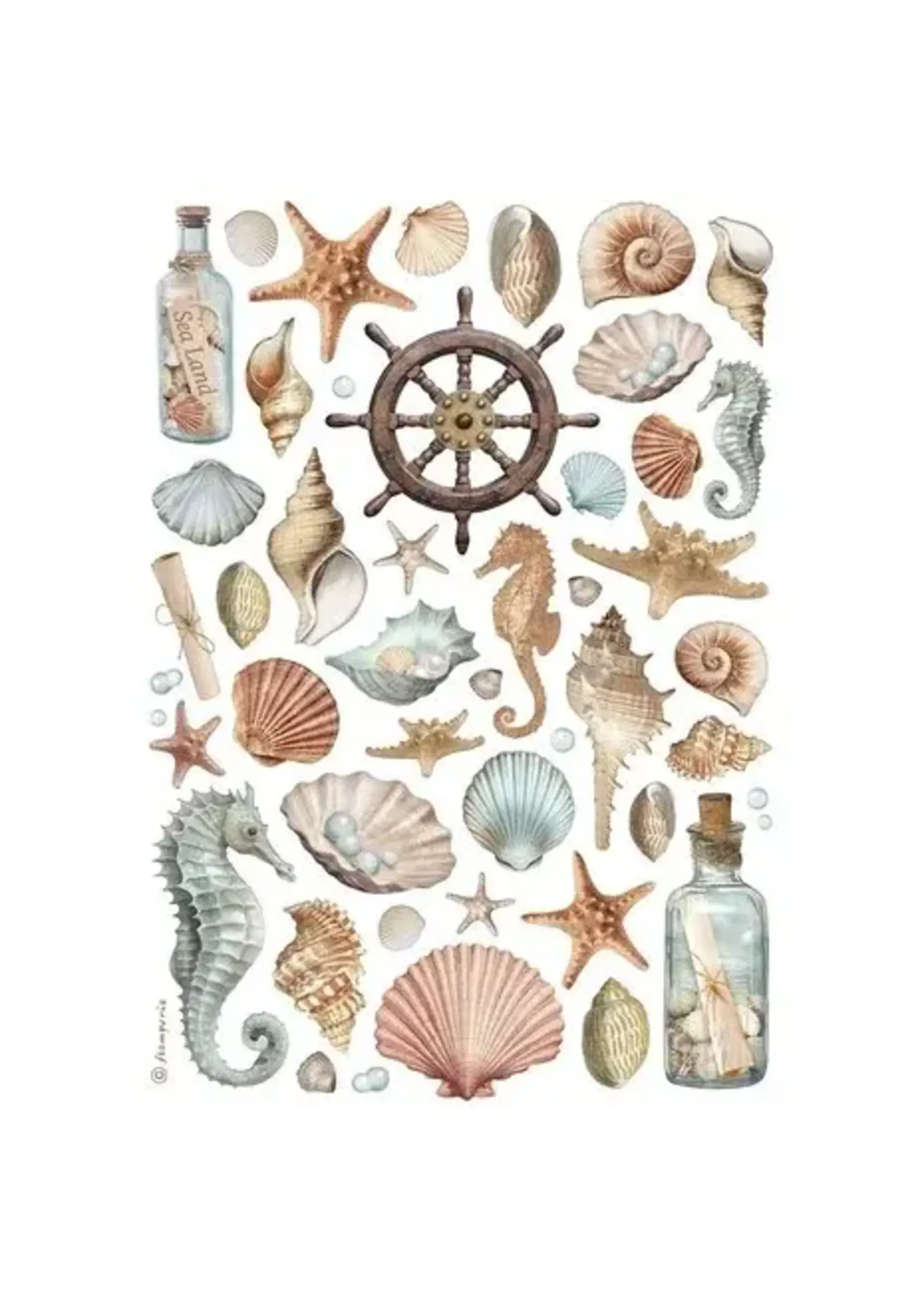 Shells A4 Rice Paper (1pcs) (DFSA4998)