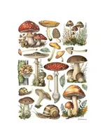 Mushrooms A4 Rice Paper (1pcs) (DFSA41000)
