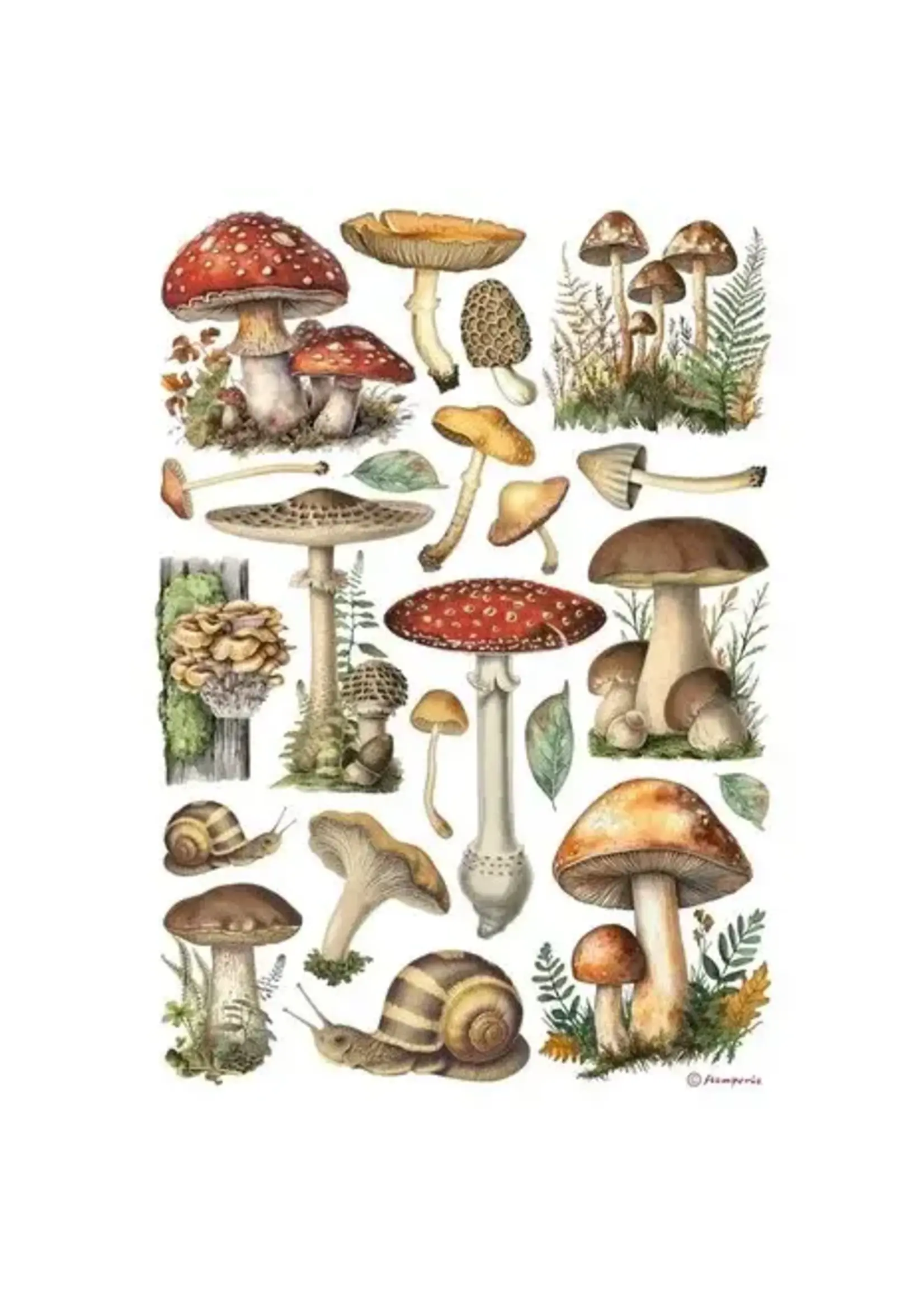 Mushrooms A4 Rice Paper (1pcs) (DFSA41000)