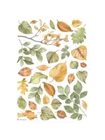 Leaves A4 Rice Paper (1pcs) (DFSA4999)
