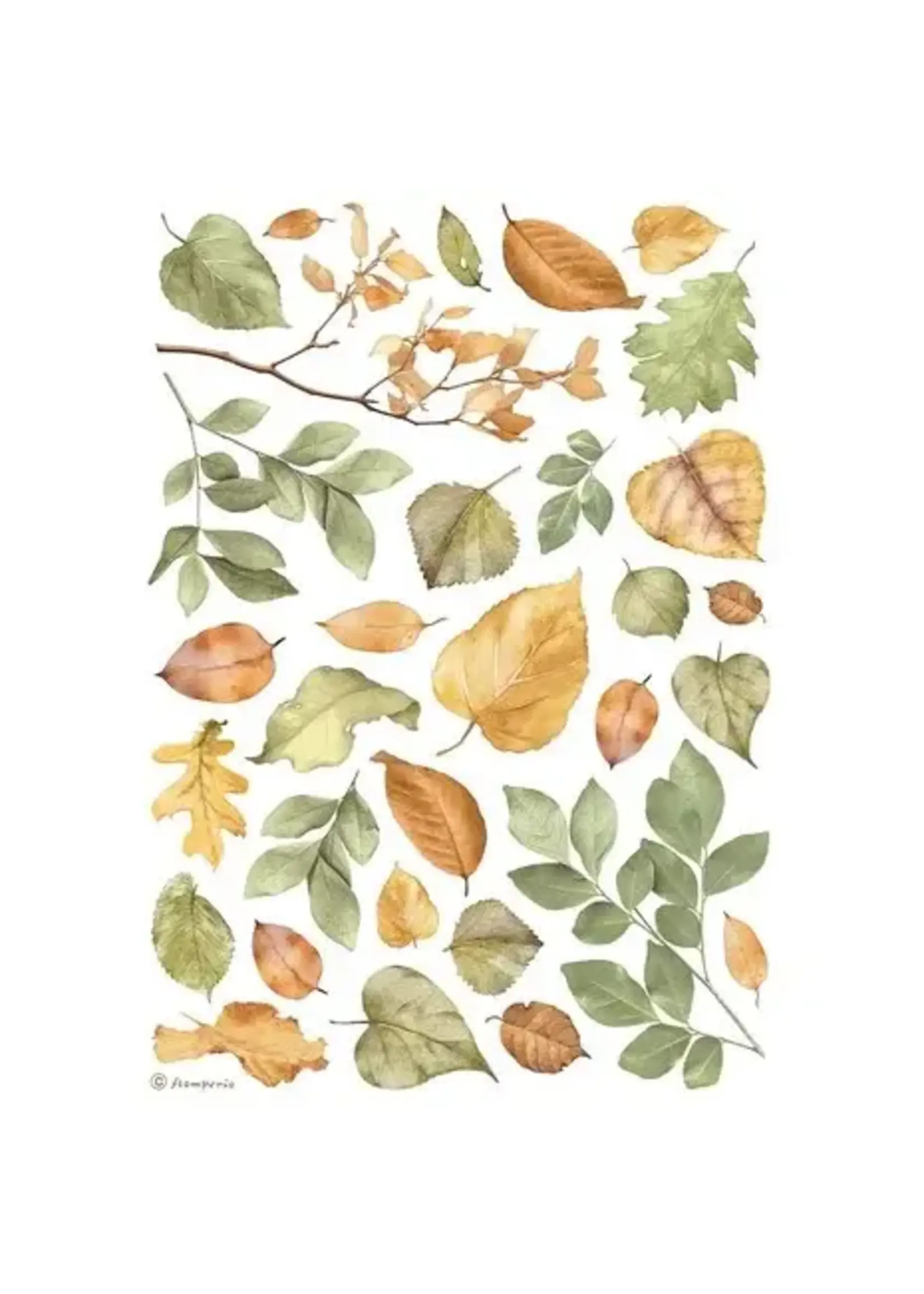 Leaves A4 Rice Paper (1pcs) (DFSA4999)