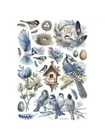 Birds A4 Rice Paper (1pcs) (DFSA41003)