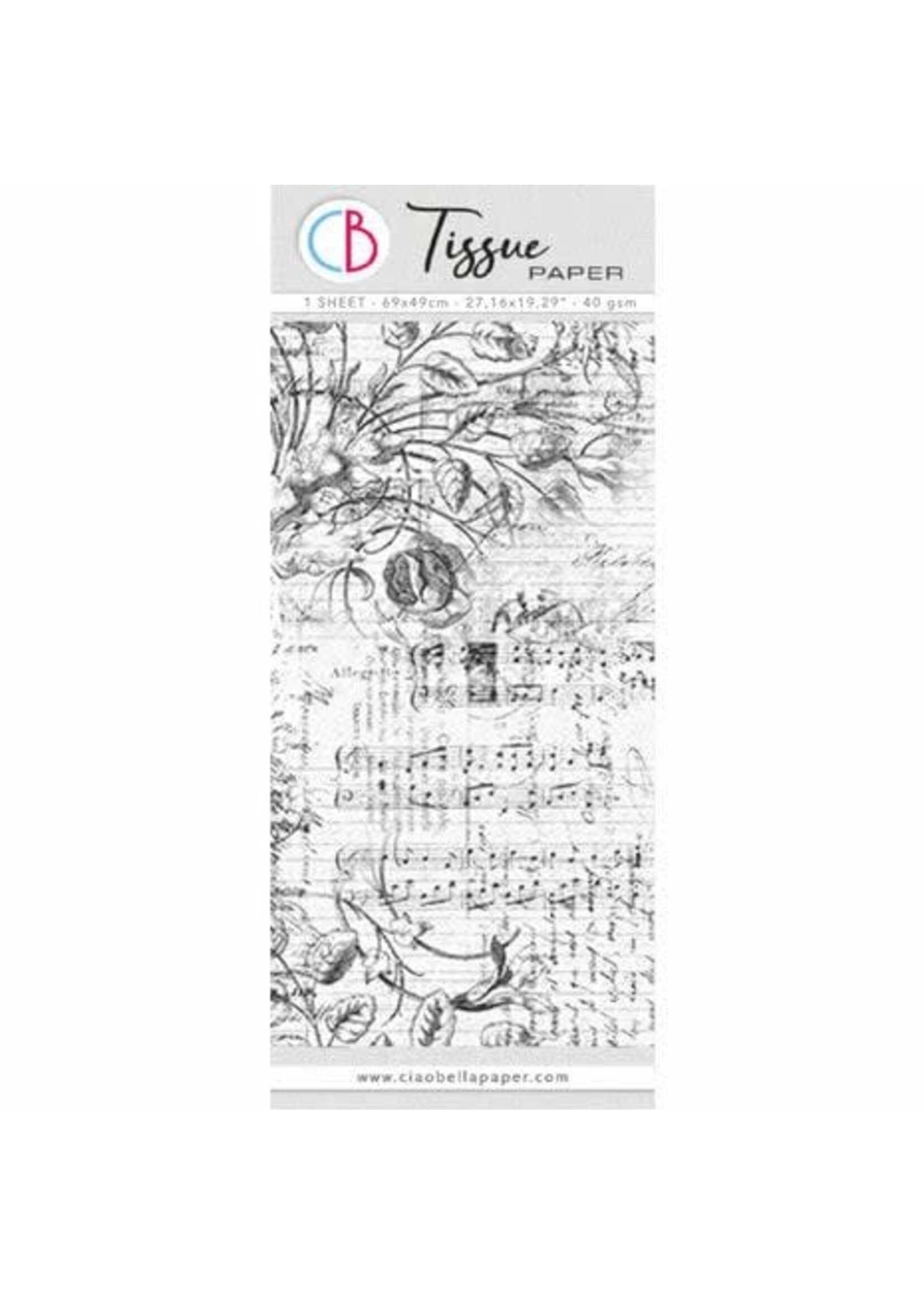 Tissue Paper 69x49cm Aesthetic (HT030)