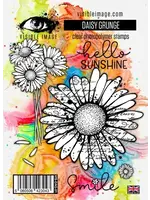 Daisy Grunge A6 Stamp Set (VIS-DAG-01