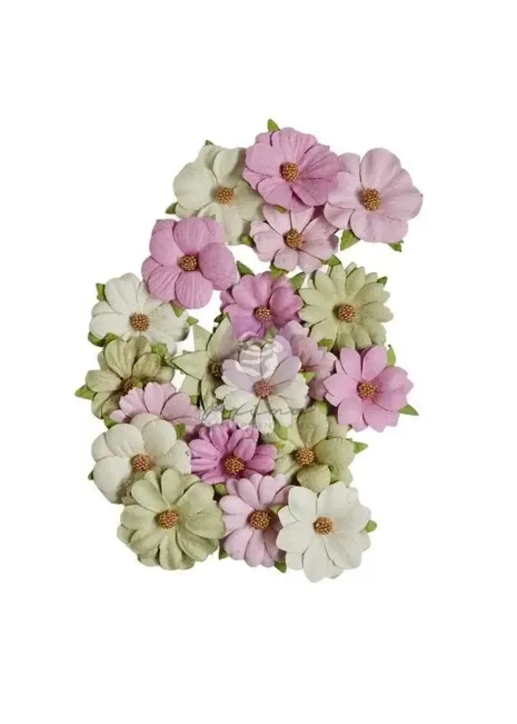 Serene Petals Flowers Morning Hush (20pcs) (677084)