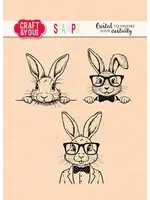 Funny Bunnies Set Stamps (CYD-CS048)