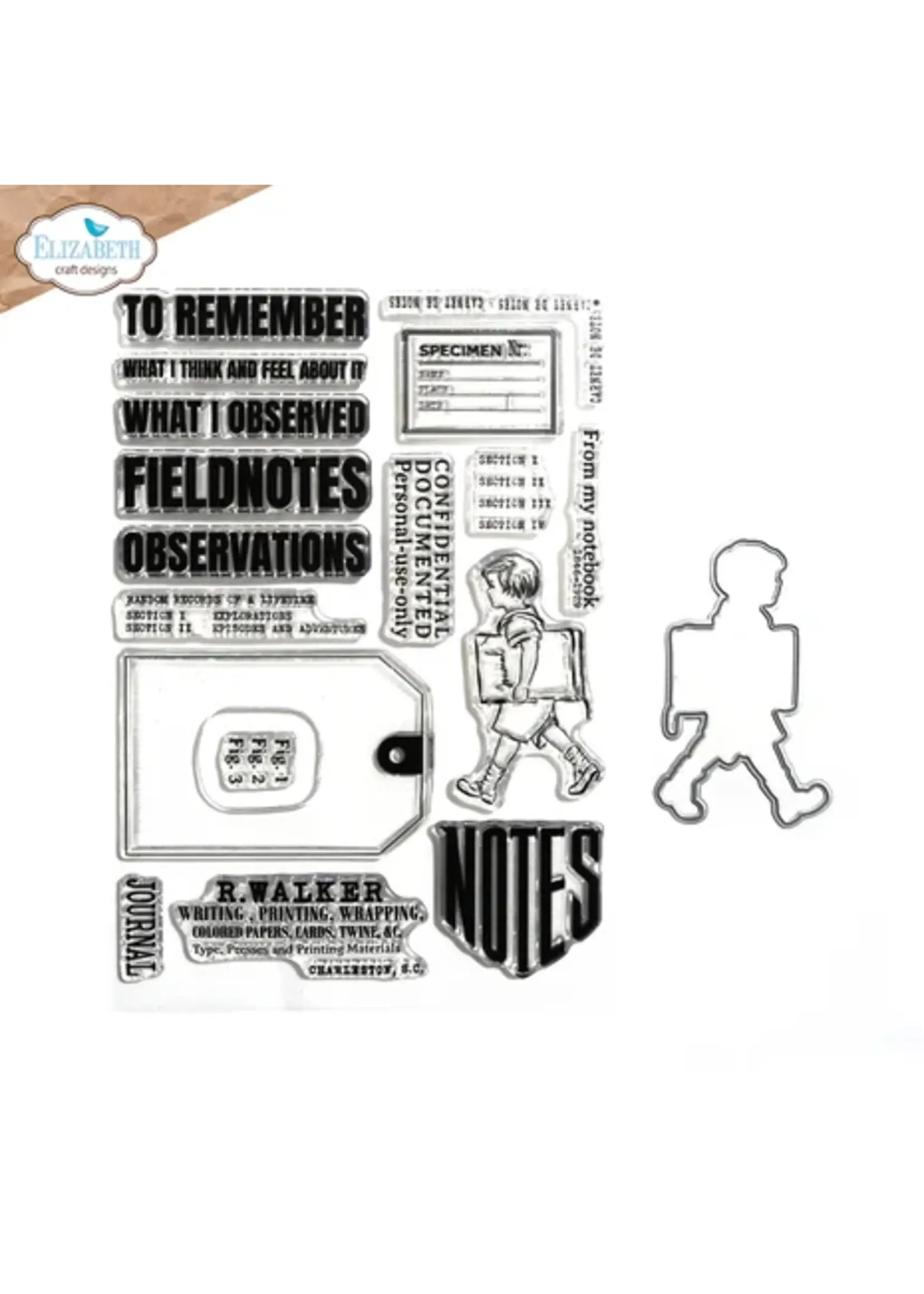 Card Lab Stamp and Die Set Field Notes (CSD394)