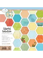 C030 - Colorful Collective