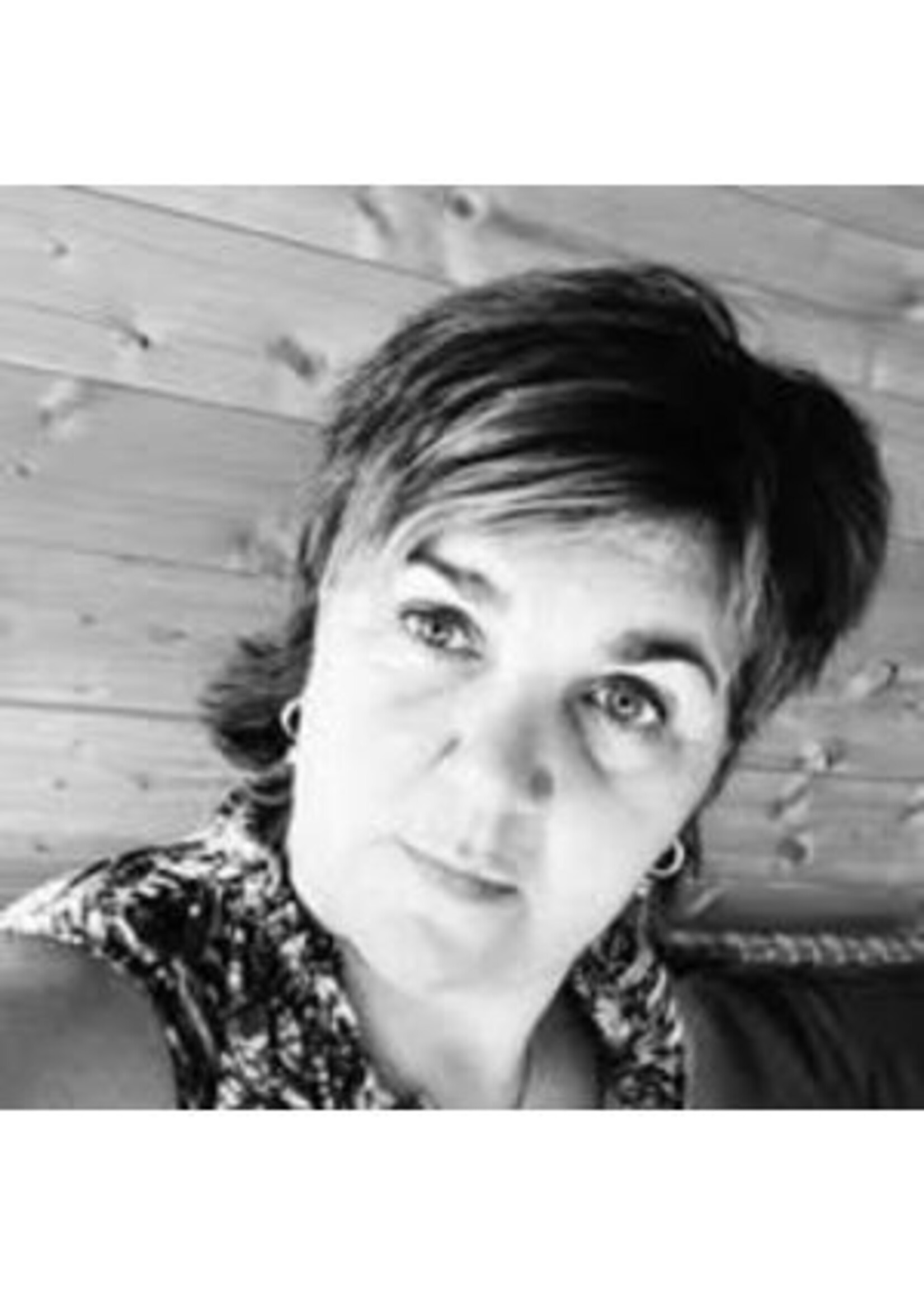 3 D Mixed Media workshop met Jolanda De Ronde  12 september