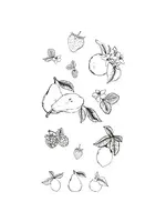 Clear Stamps by Lisa Jones Botanical Fruit (19pcs) (666611)