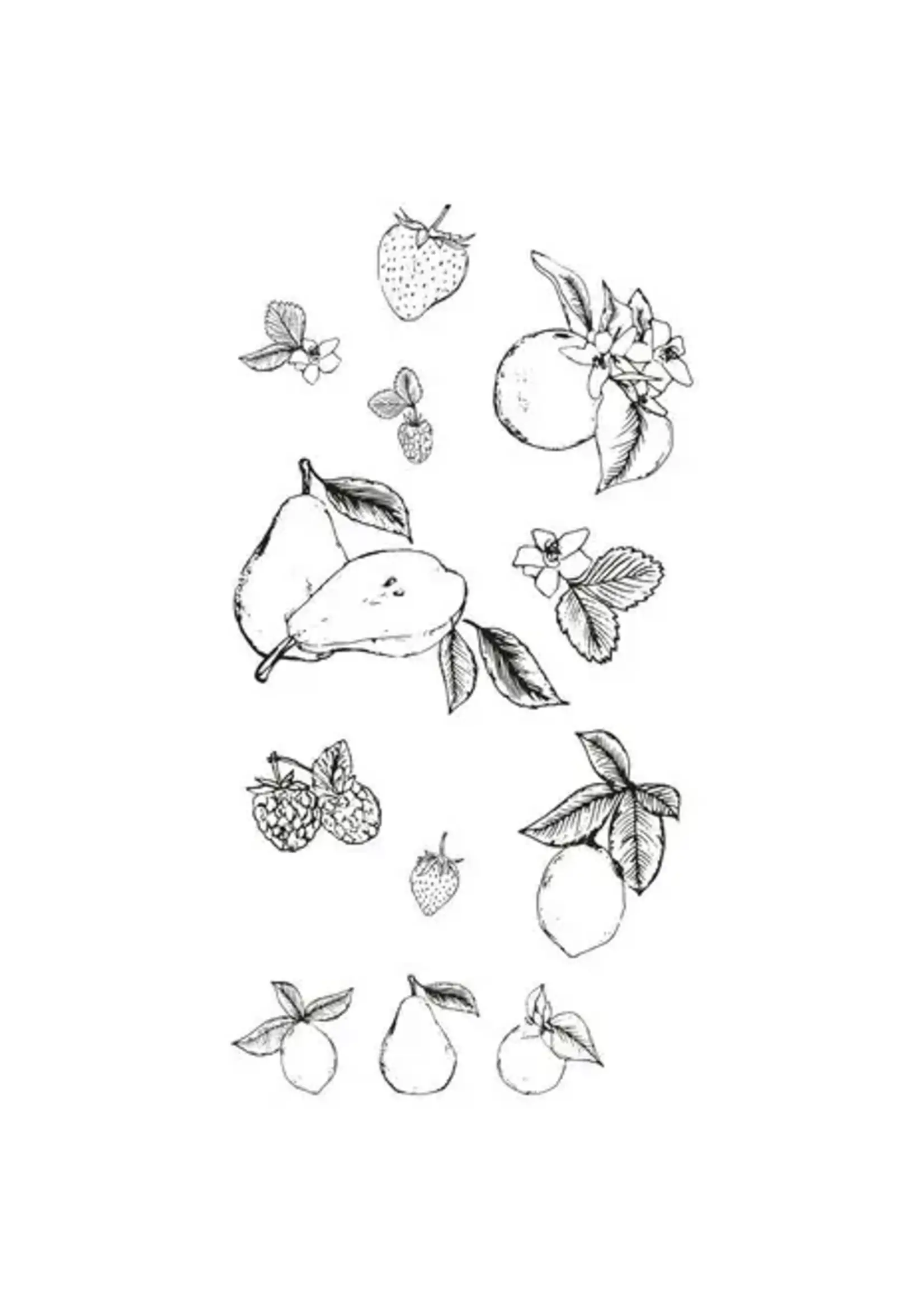 Clear Stamps by Lisa Jones Botanical Fruit (19pcs) (666611)