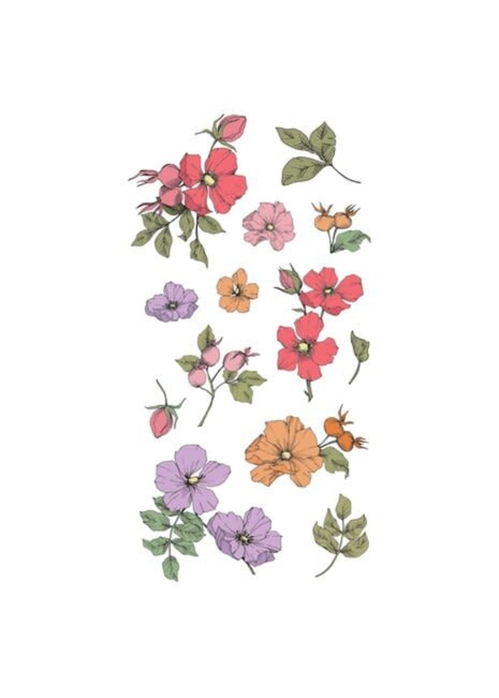 Clear Stamps by Lisa Jones Wildflower Botanicals (13pcs) (666870)