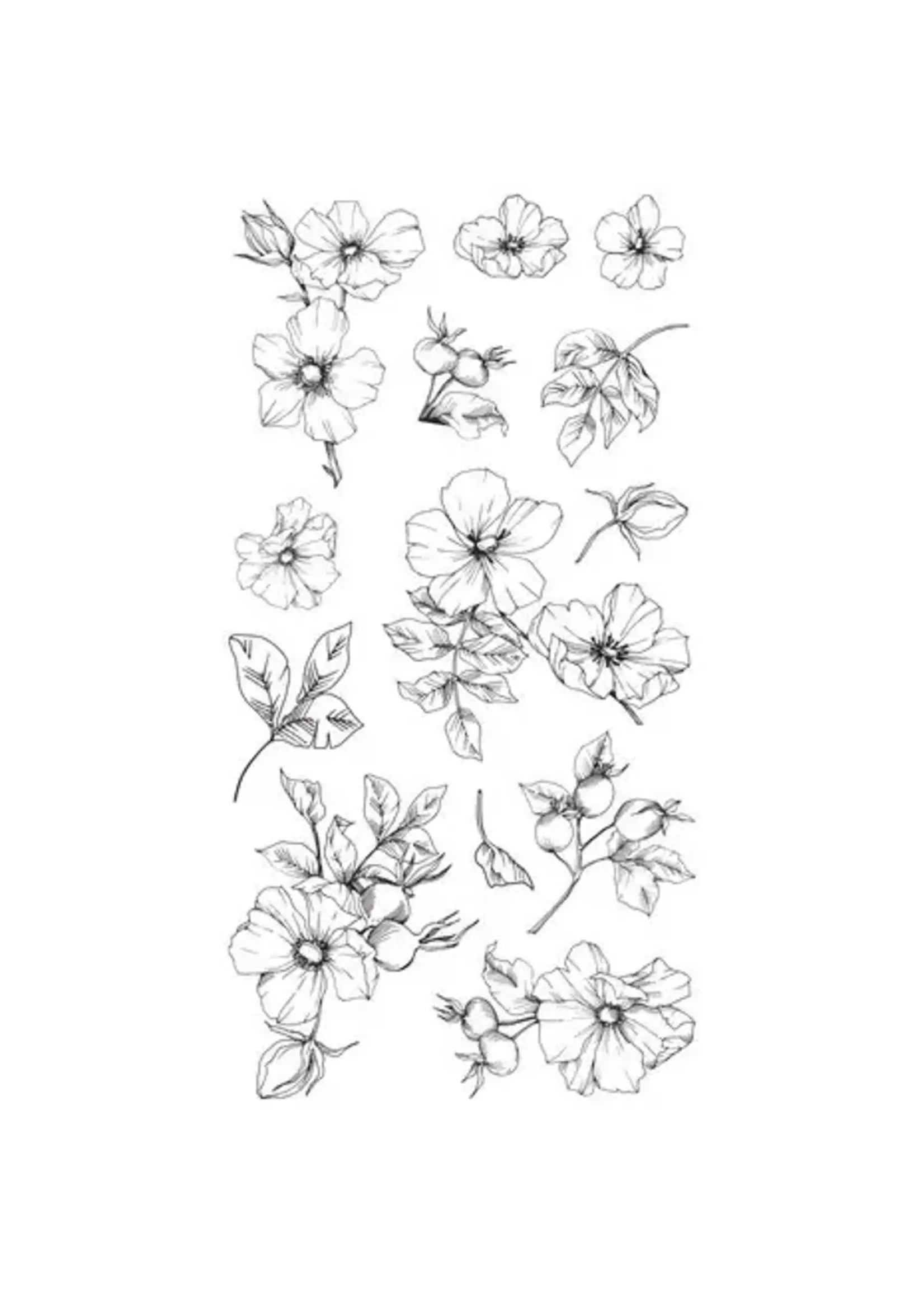 Clear Stamps by Lisa Jones Wildflower Botanicals (13pcs) (666870)