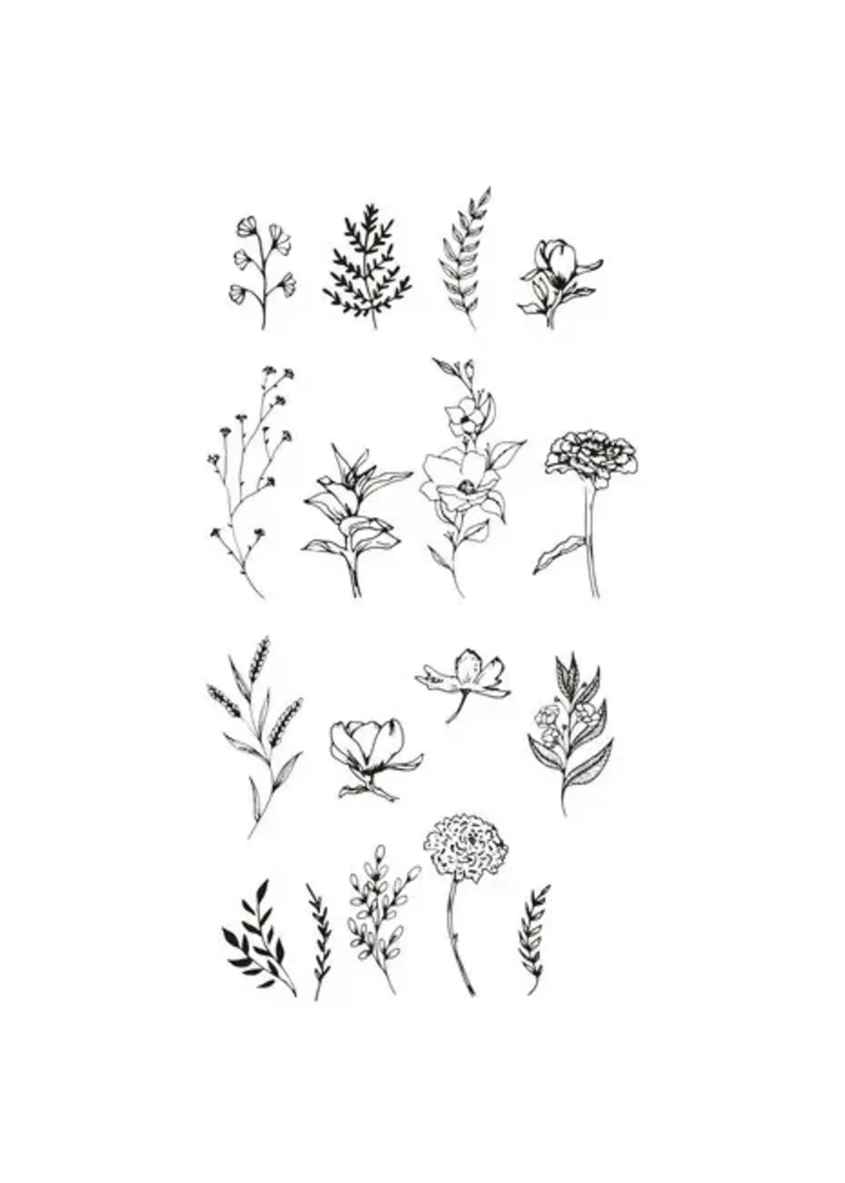 Clear Stamps by Lisa Jones Garden Botanicals (17pcs) (666641)