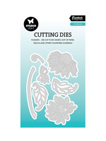 SL-ES-CD1003 - Echinacea Essentials nr.1003