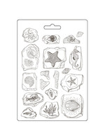 Zachte mal A5 - Stille Zee fossielen CME-code: K3PTA5670