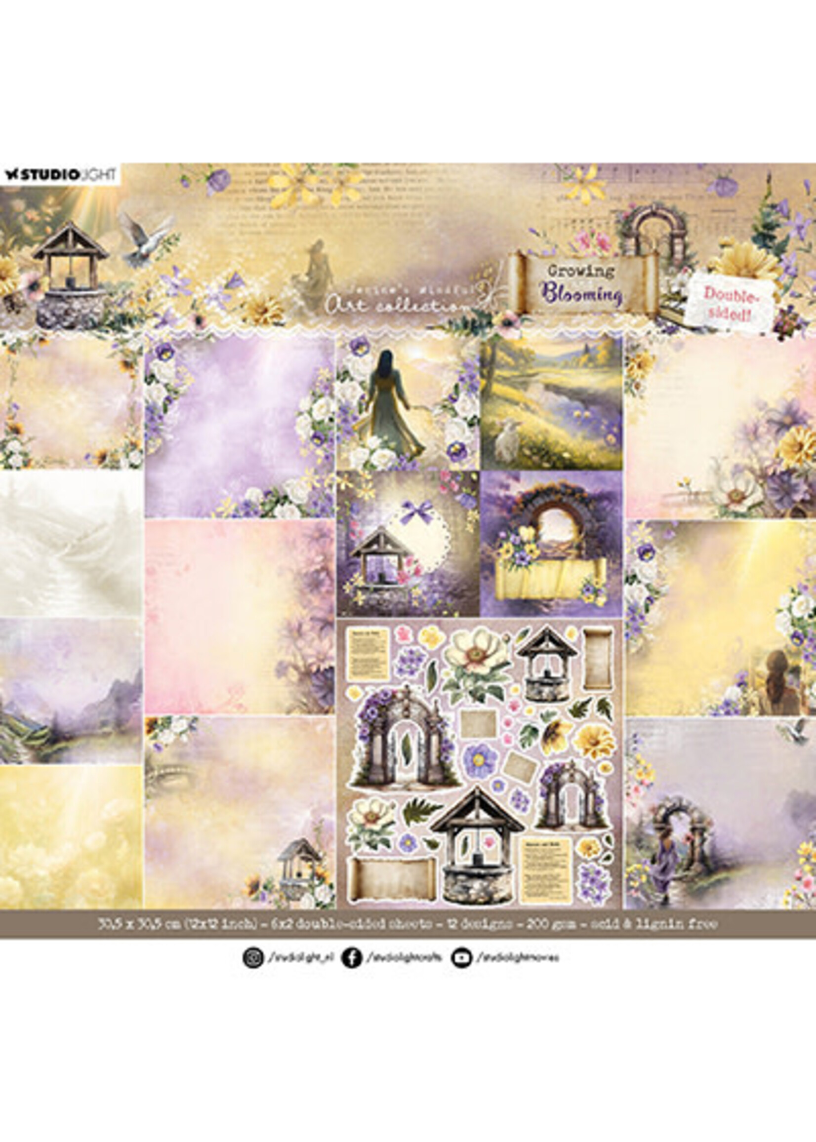 JMA-GB-DPP321 - Designer Paper Pad Double-sided scrapbooking Growing & Blooming nr.321  12 inch