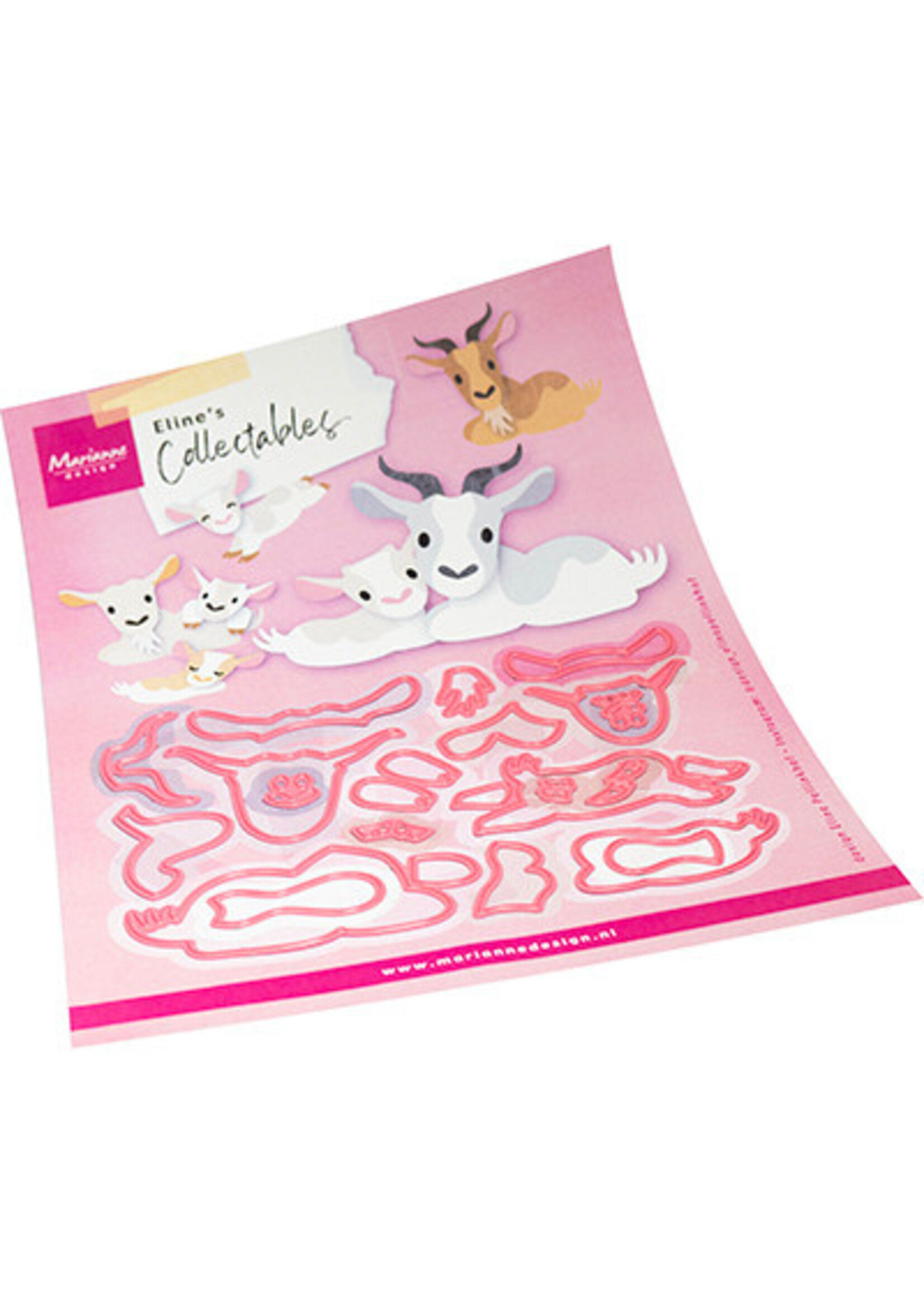 COL1570 - Eline's Goat family