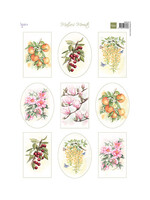 MB0222 - Mattie's Mooiste - Fruit & Flowers