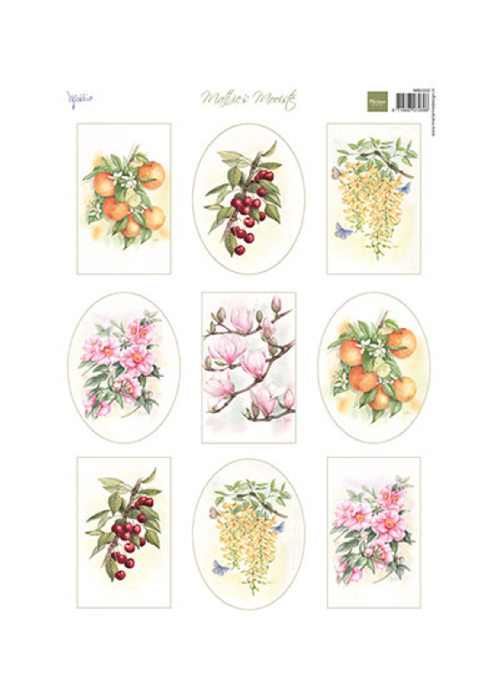 MB0222 - Mattie's Mooiste - Fruit & Flowers