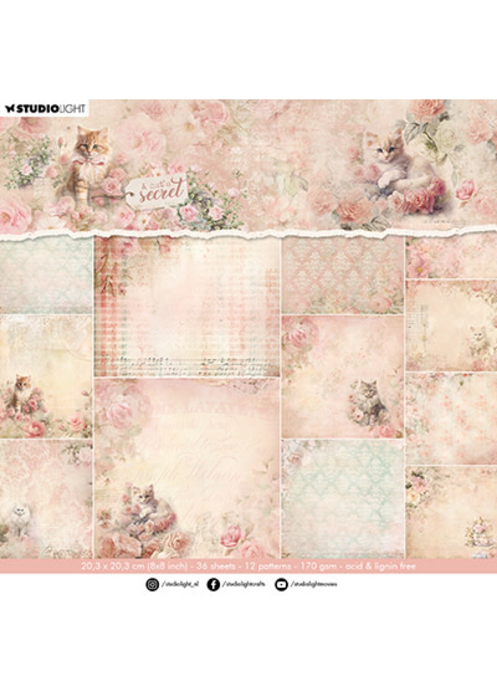 SL-ACS-DPP315 - Designer Paper Pad Background paper A Cat's Secret nr.315