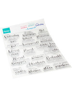 CS1172 - Voor de man