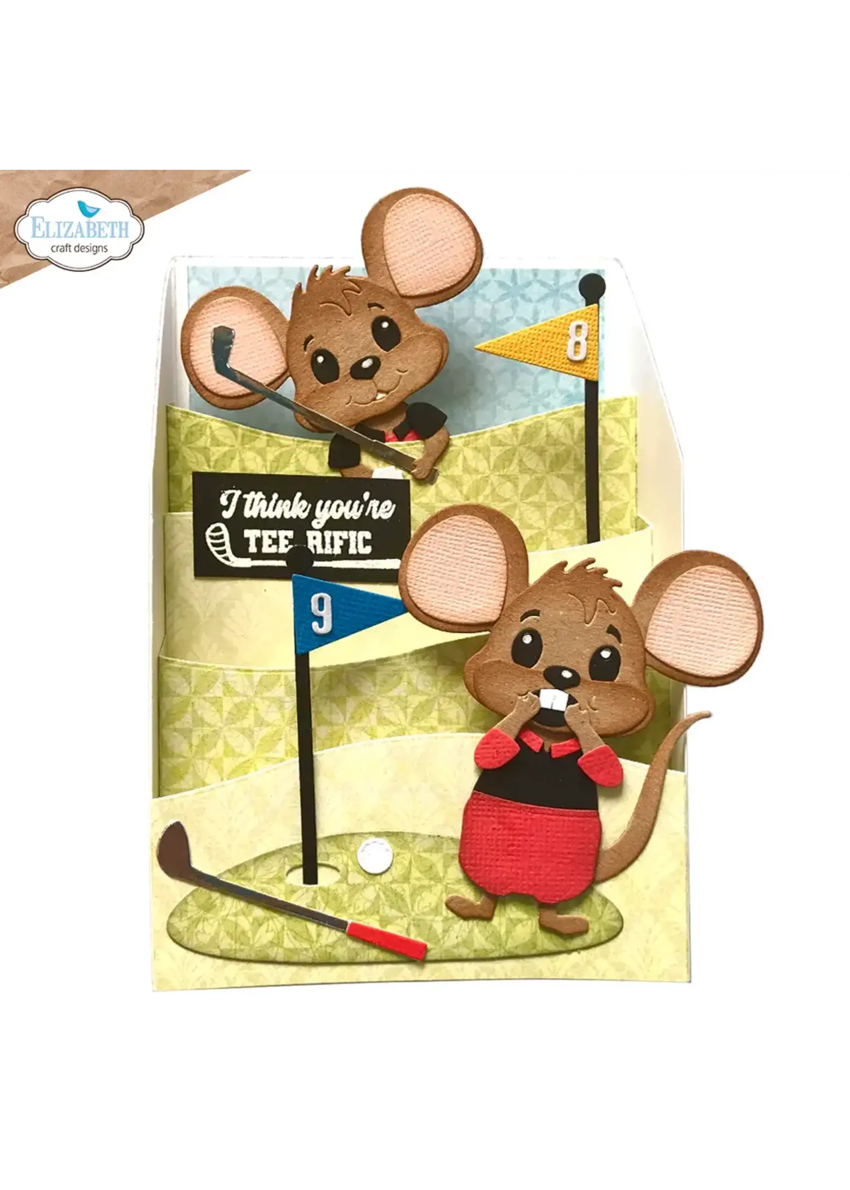Golf Accessoires 2260