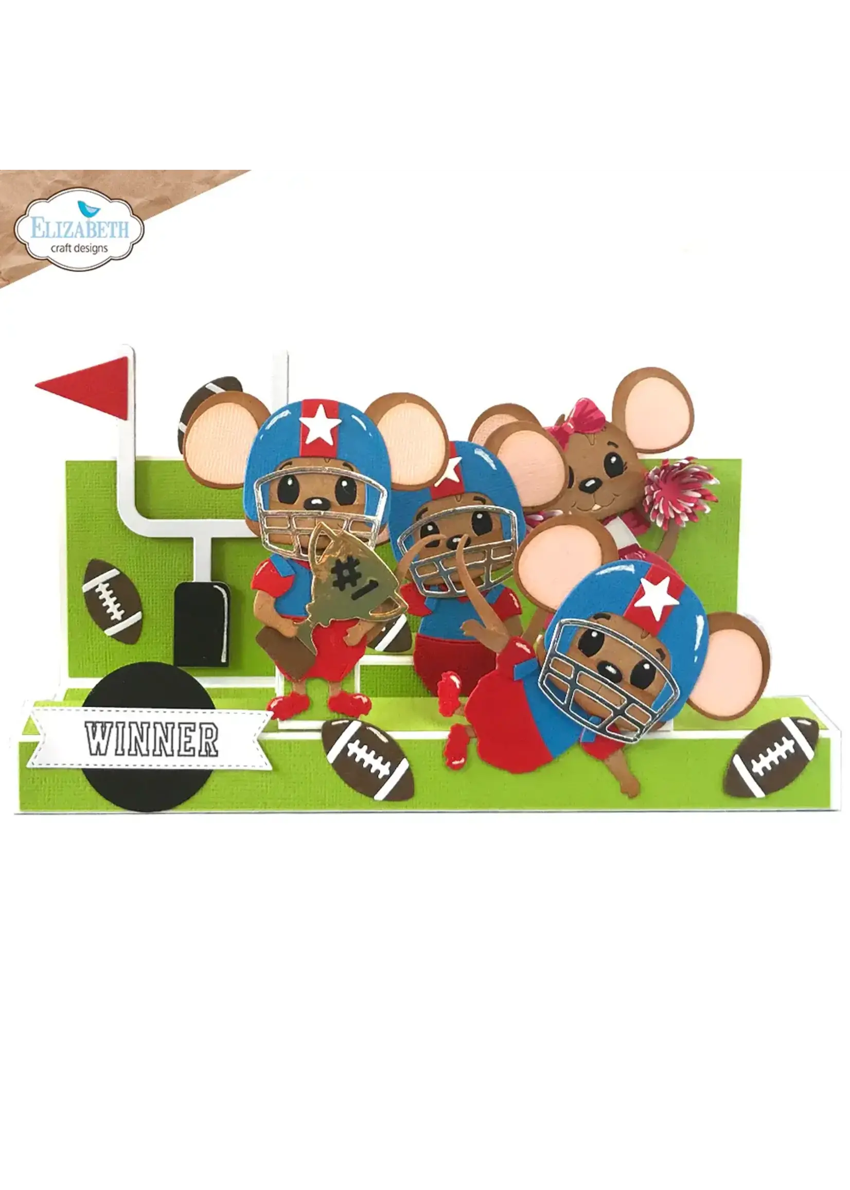 Voetbal/ Honkbal Accessoires  2261