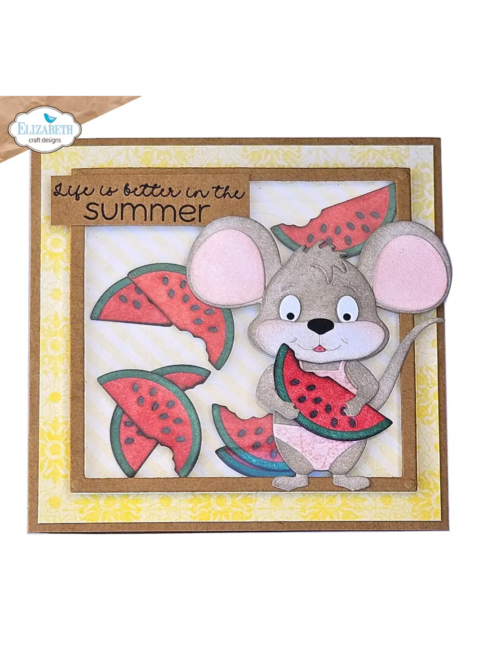 Zomer Reizen Sentimenten CS411