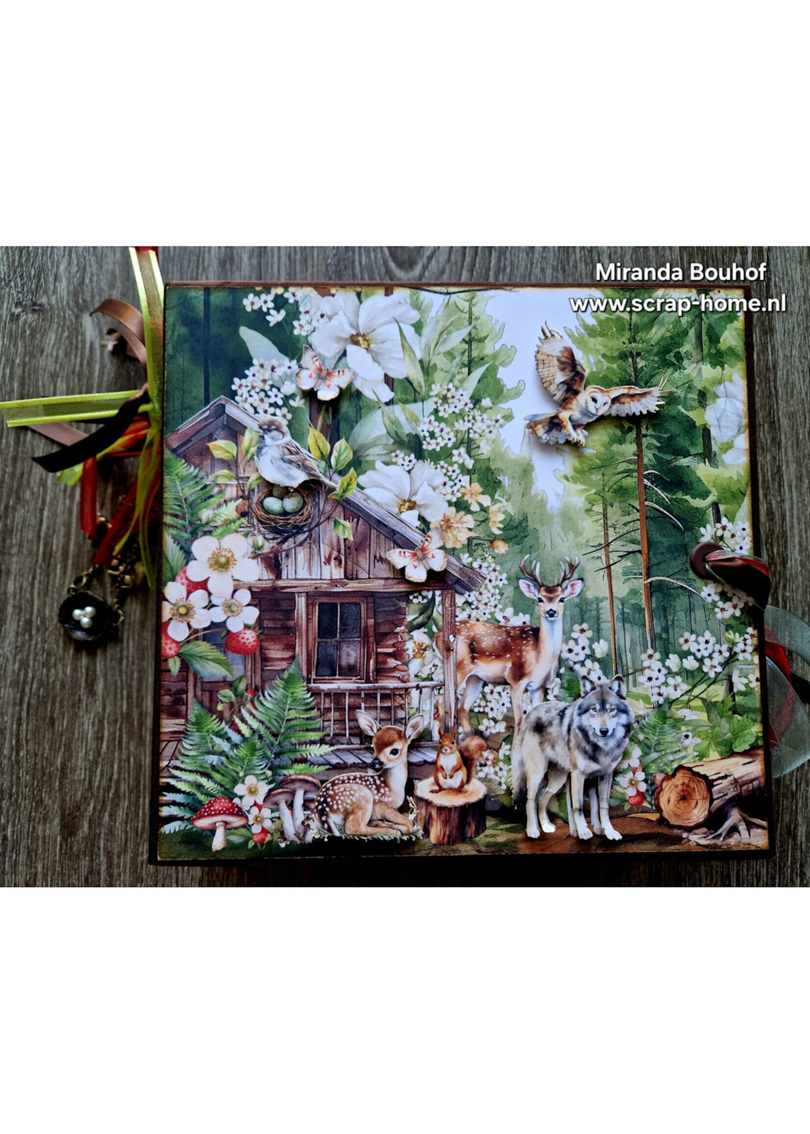 Wildwood Secrets Album