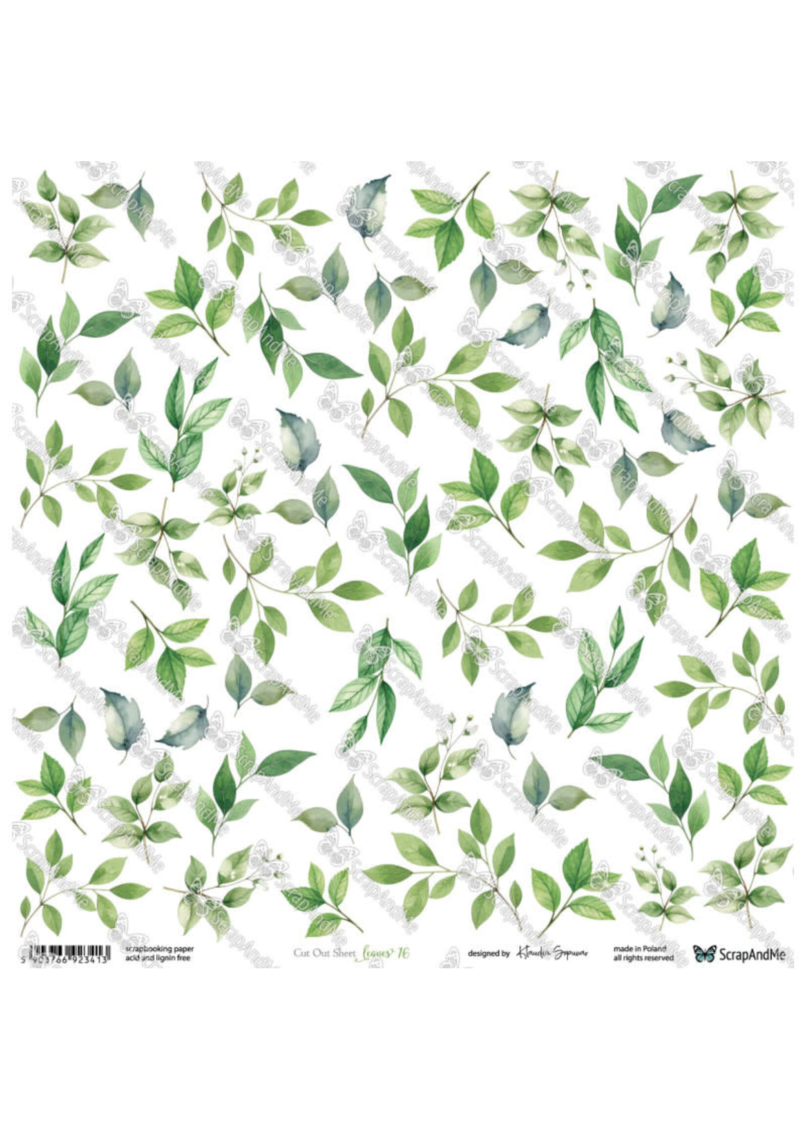 Leaves 16
