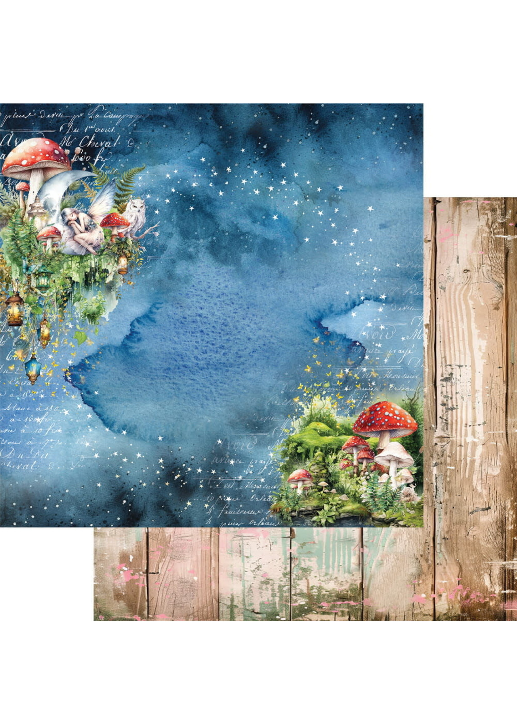 De Wereld van Feeën Papieren Set 12x12''