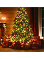 Kerstkaarten maken met Bartha en Miranda 25 oktober