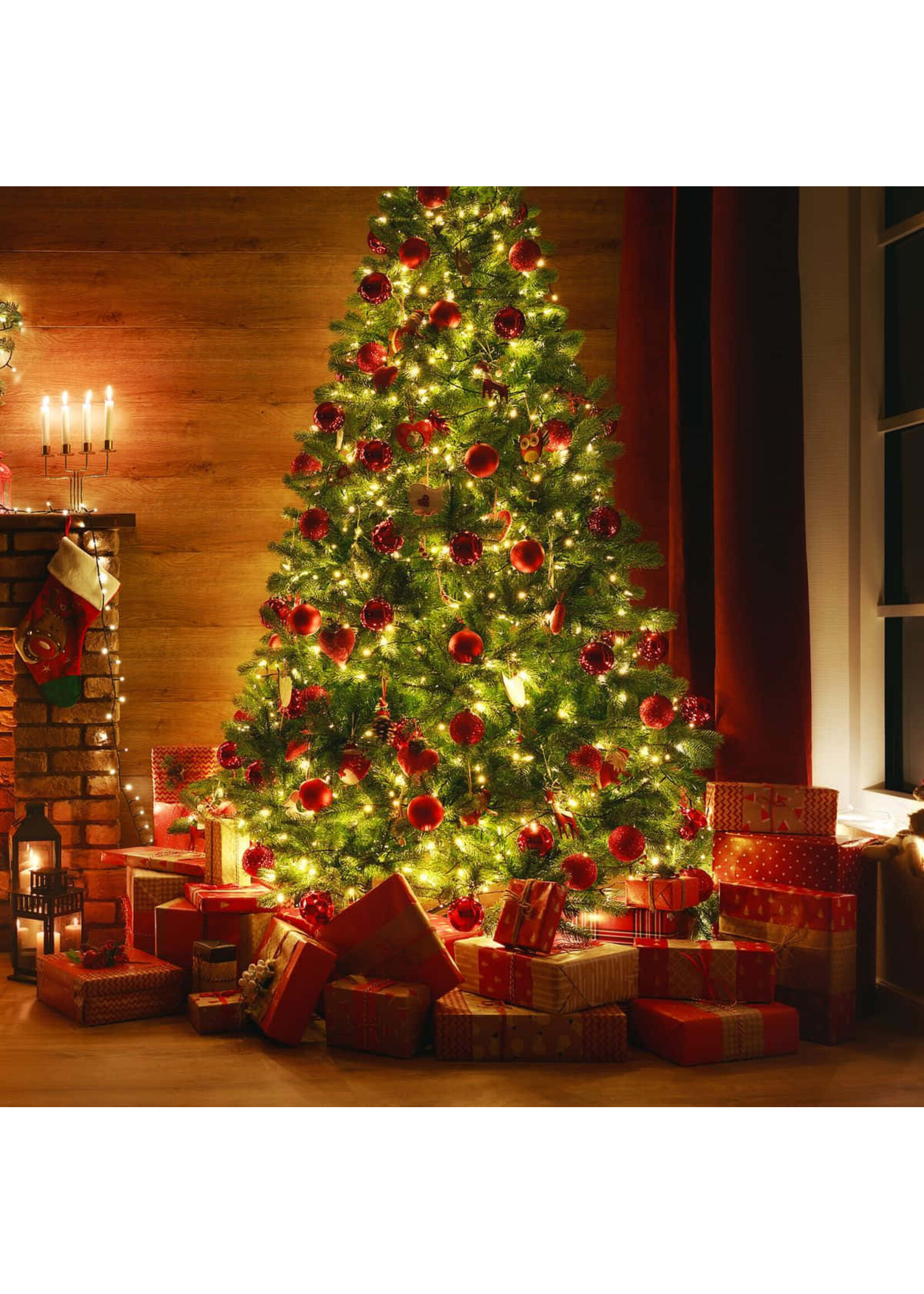 Kerstkaarten maken met Bartha en Miranda 25 oktober