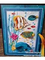 Album Under The Sea Miranda  leverbaar begin september