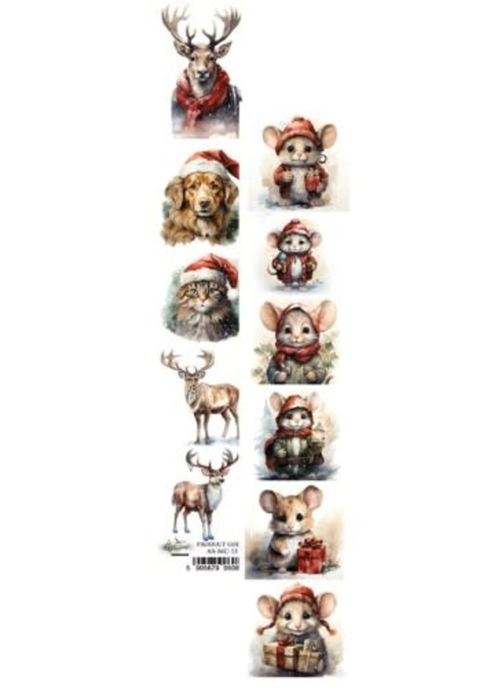 Paseczek z dodatkami 2x12'' dieren 13