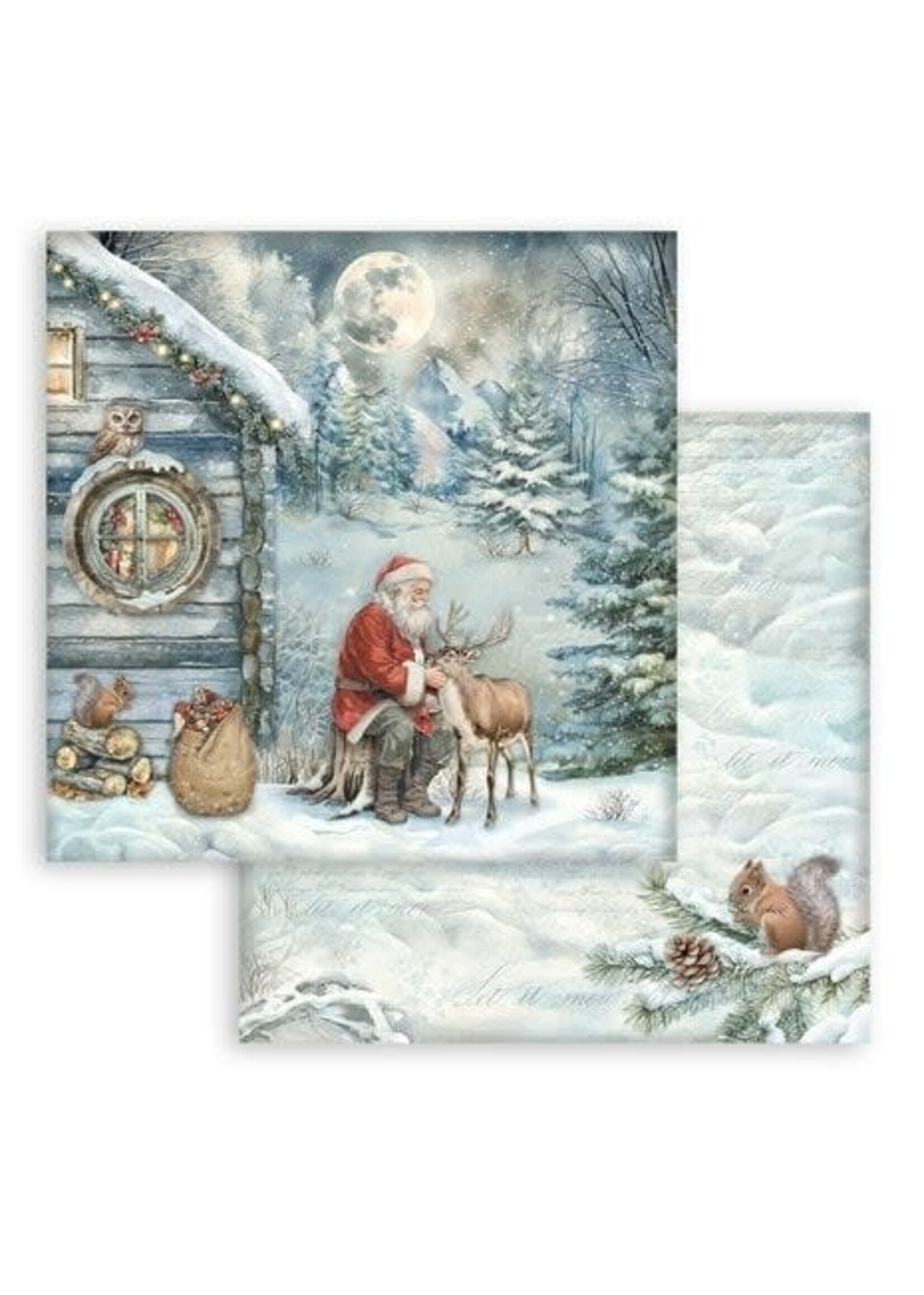 The Owl's House 12x12 Inch Paper Pack (SBBL174)
