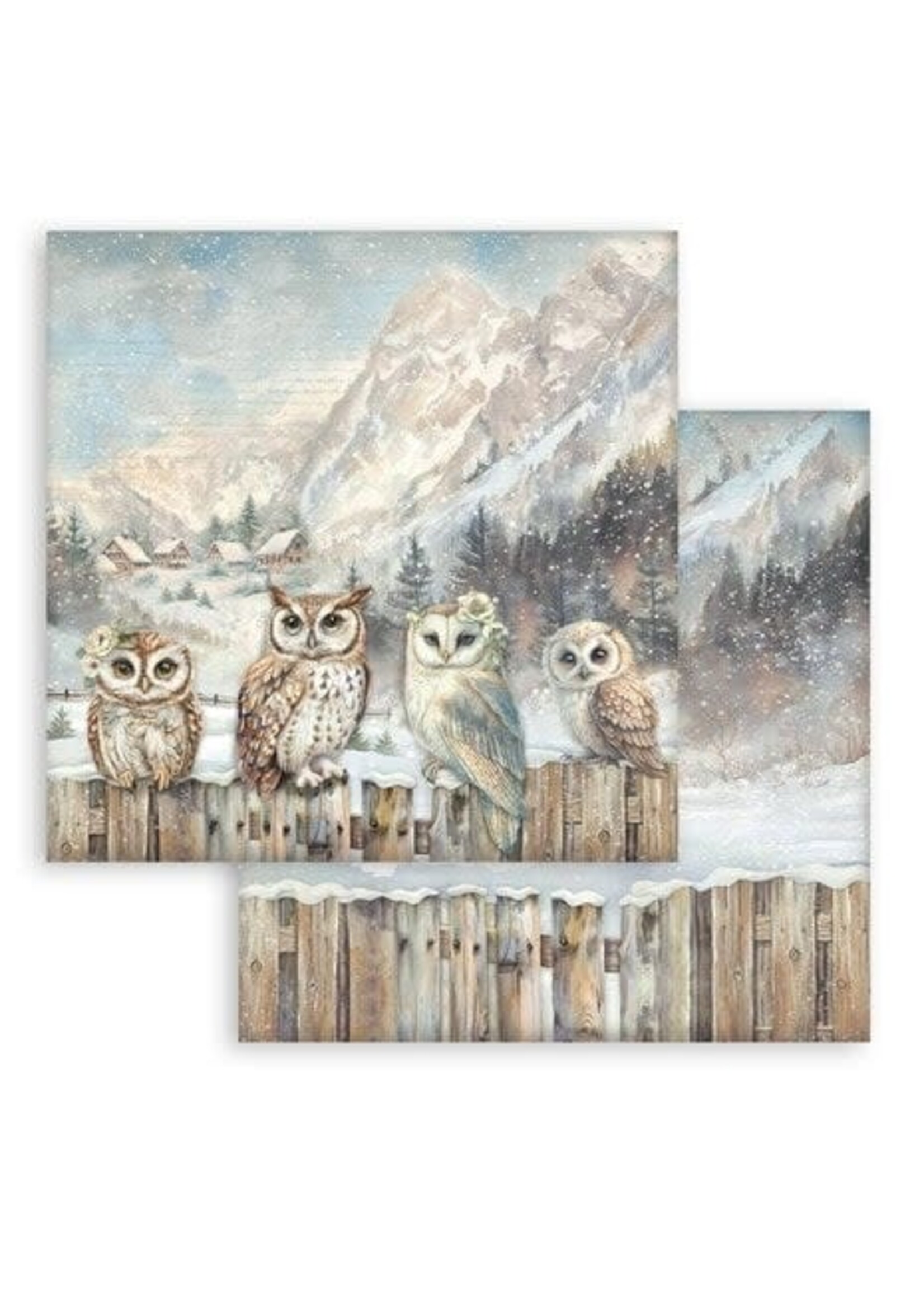 The Owl's House 12x12 Inch Paper Pack Maxi (Single Face) (SBBXLB28)