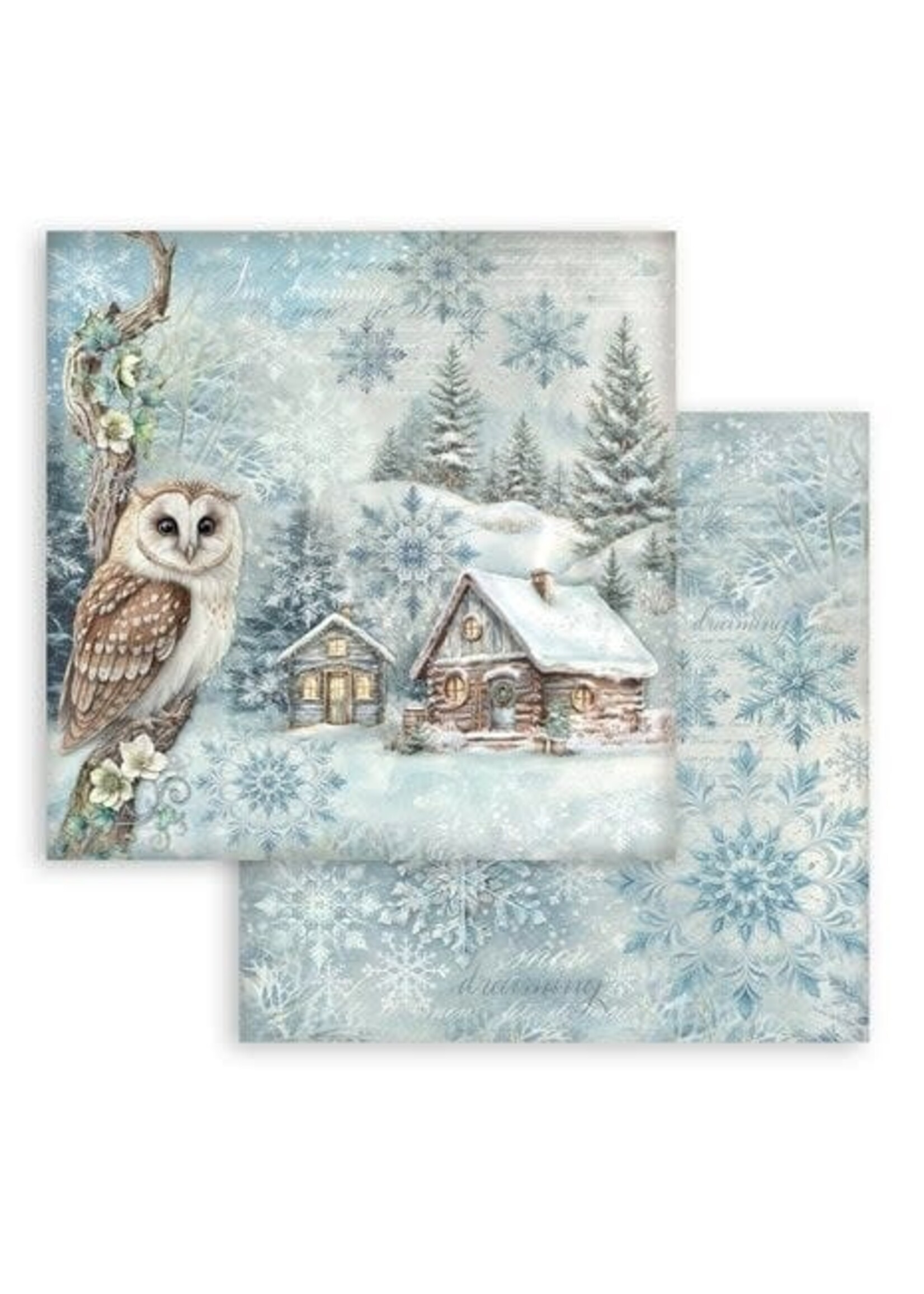 The Owl's House 12x12 Inch Paper Pack Maxi (Single Face) (SBBXLB28)