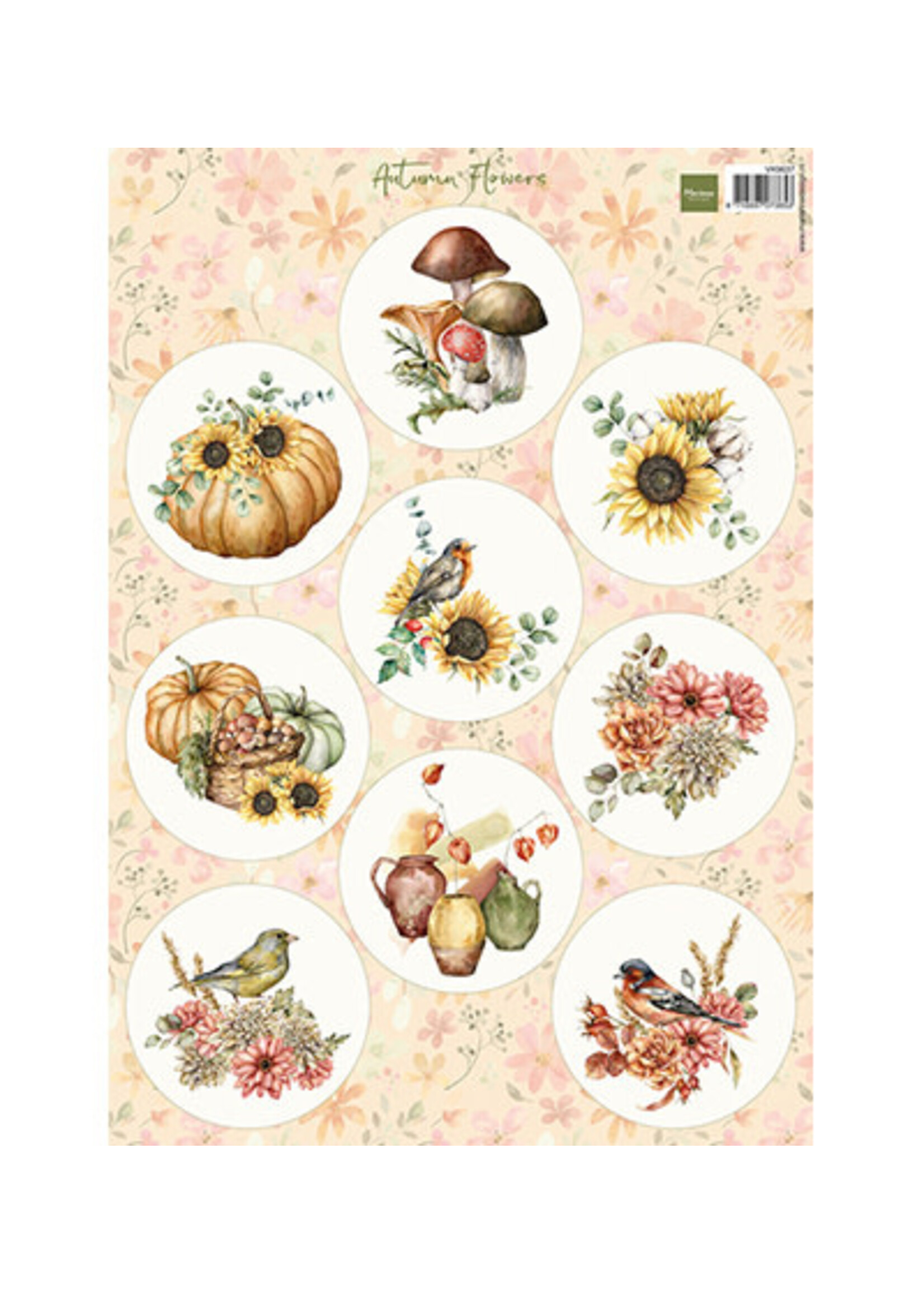 VK9637 - Autumn Flowers