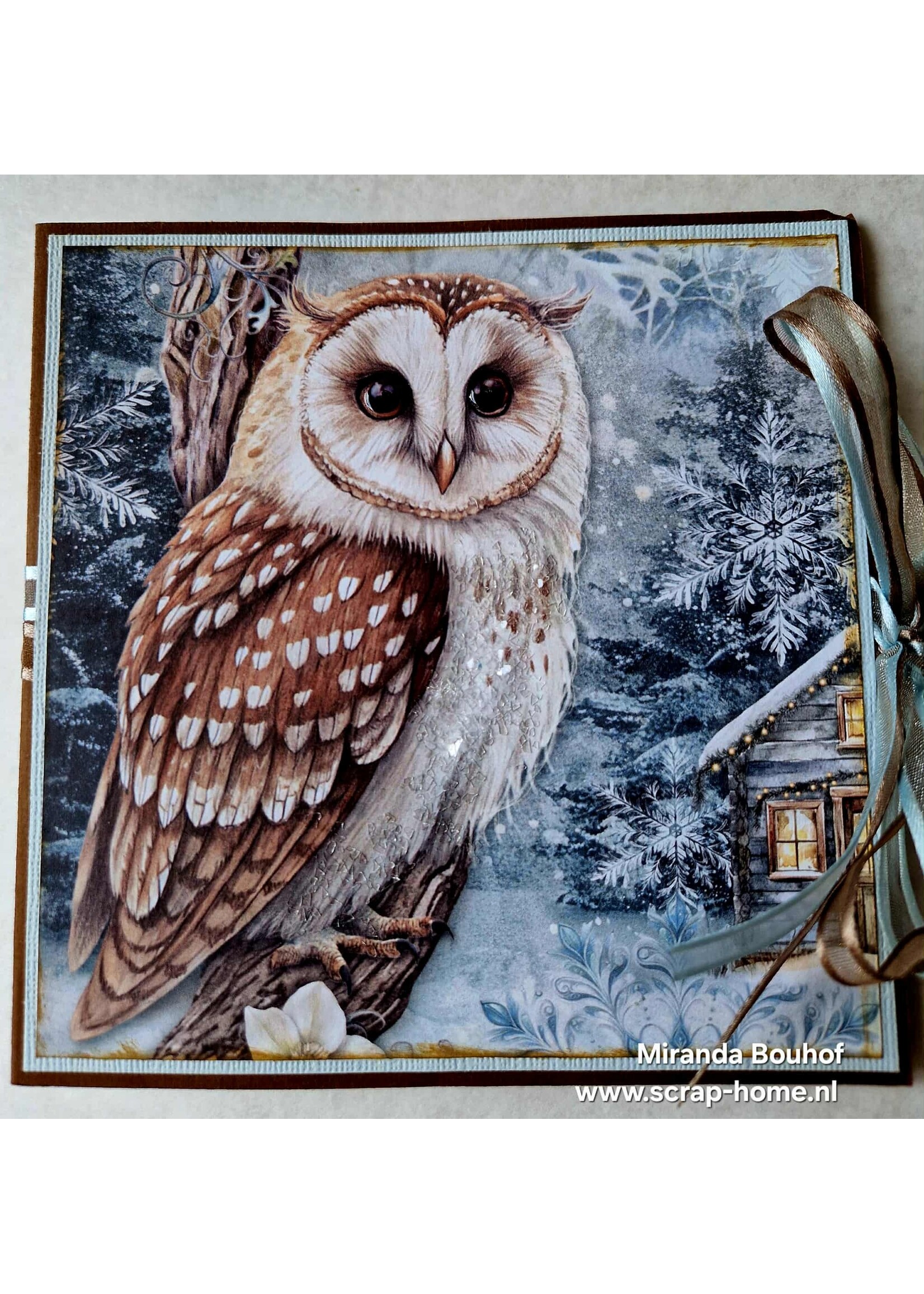 Uilen Winter Wonderland Blokjes Kaart Miranda
