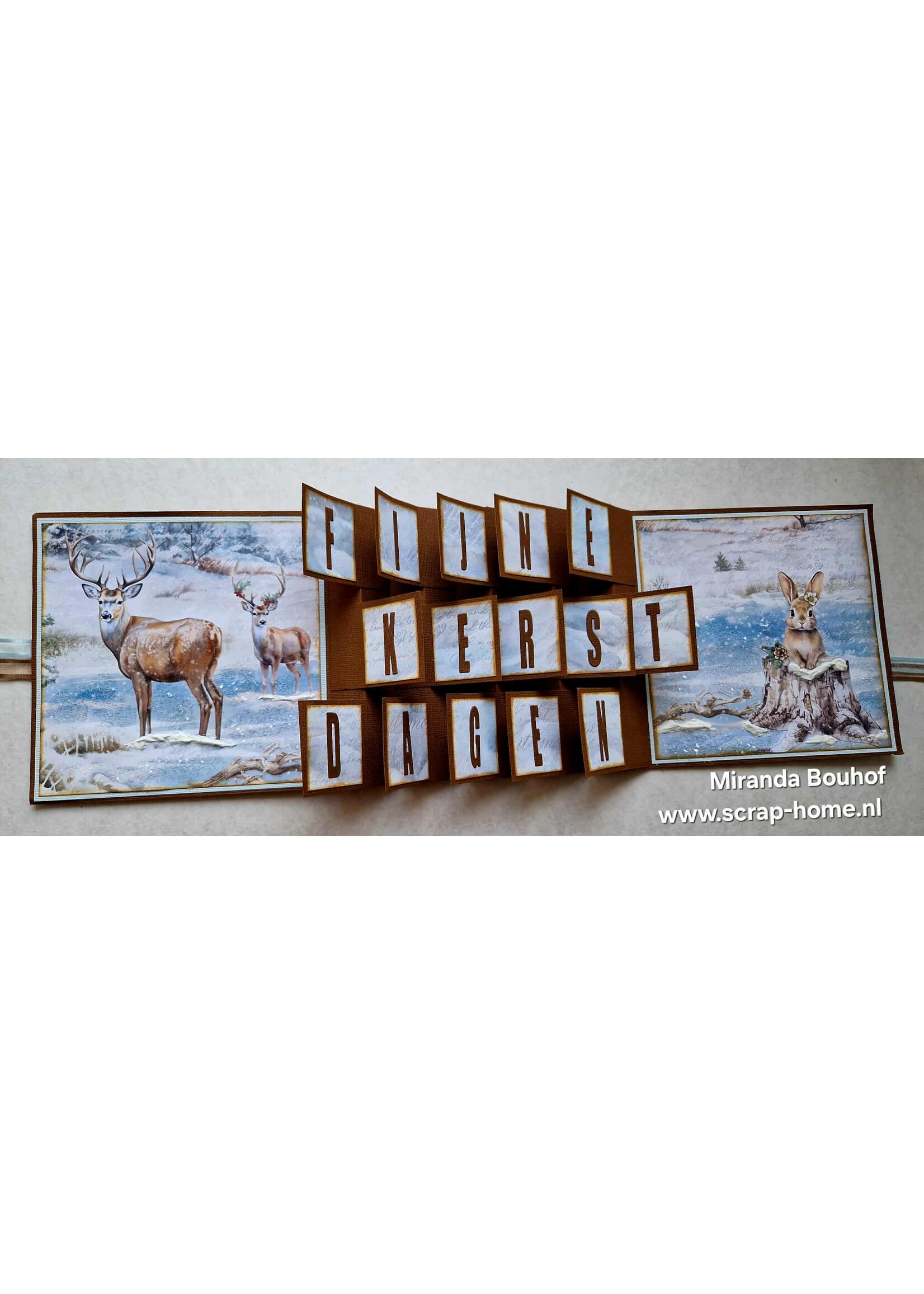 Harmonica Fijne Kerst Dagen Kaart  Miranda