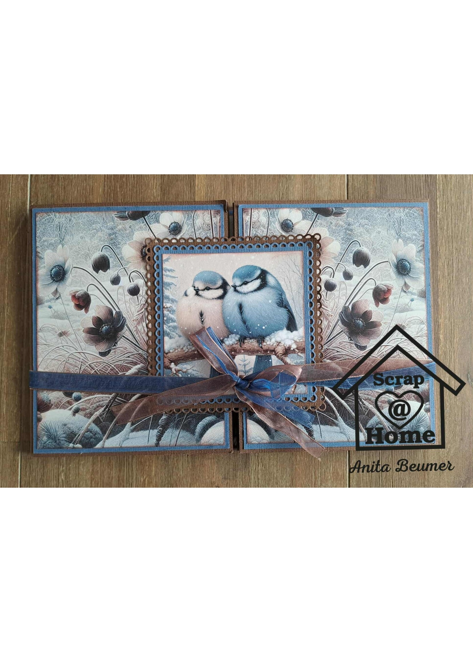 Uitgebreide Winter Fairy Kaart pakket  , incl papierpakket, plaatjes vellen, chipboard, lint, cardstock en dig. werkbeschrijving