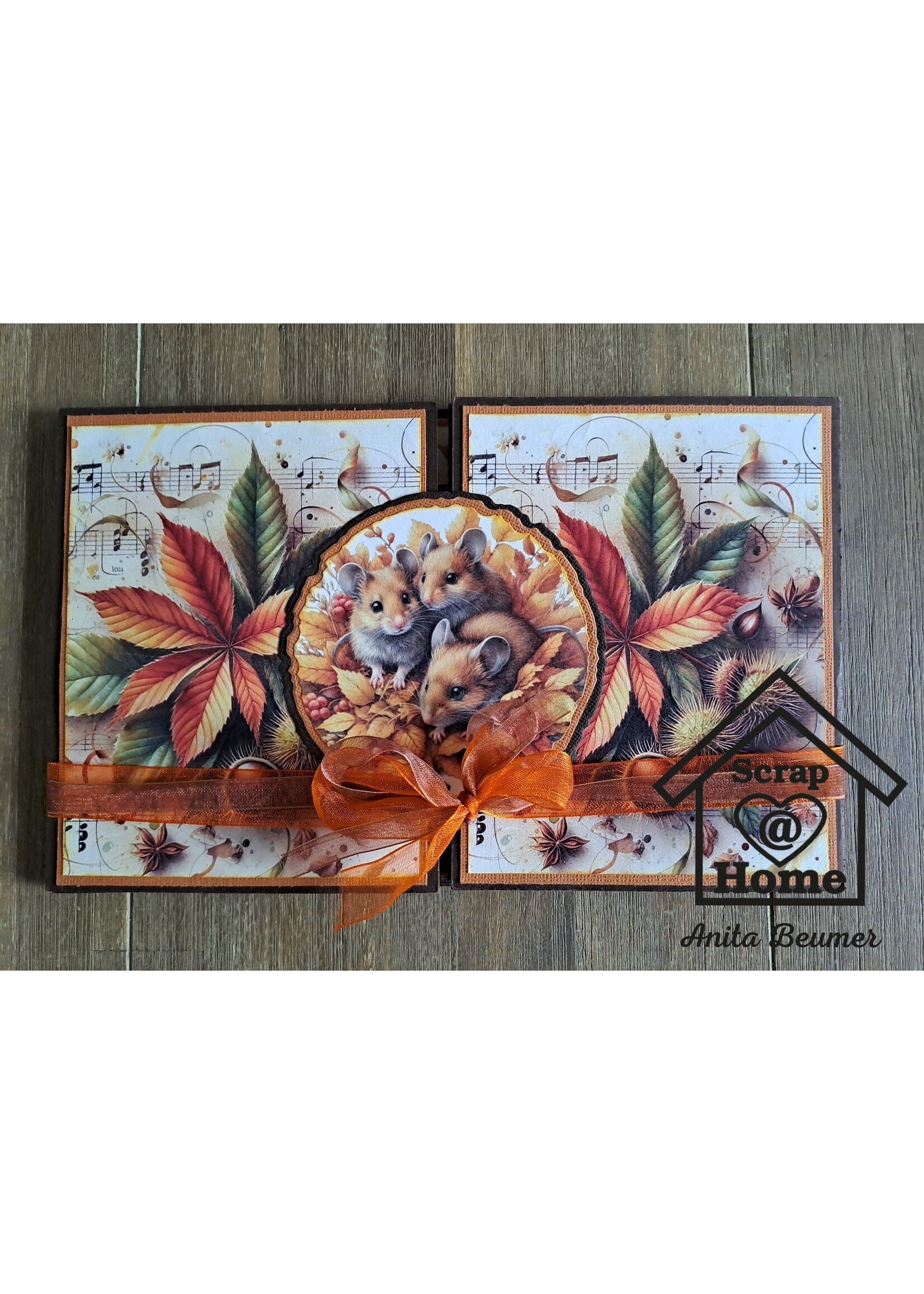 Uitgebreide Herfst Fairy Kaart pakket  , incl  A4 fairy pakket, papierpakket herfst, pakje plaatjes , chipboard, lint, cardstock en dig. werkbeschrijving