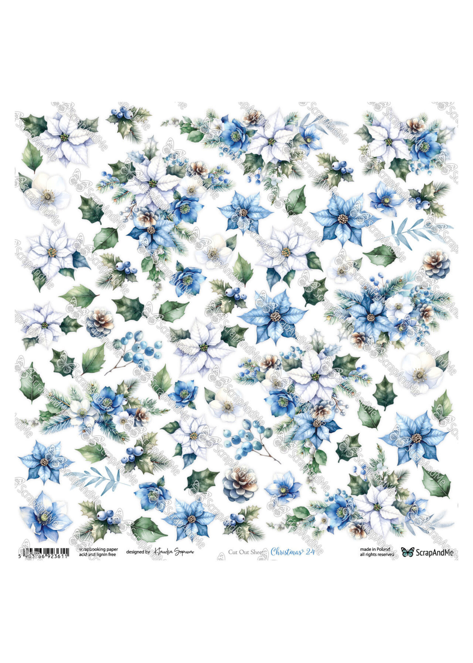 Christmas 24 Poinsetta's